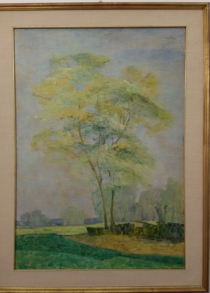 olio su tela cm. 70 x 50